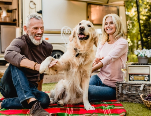How the Nationwide Peak 10 Fixed Indexed Annuity Can Help You Retire with Confidence